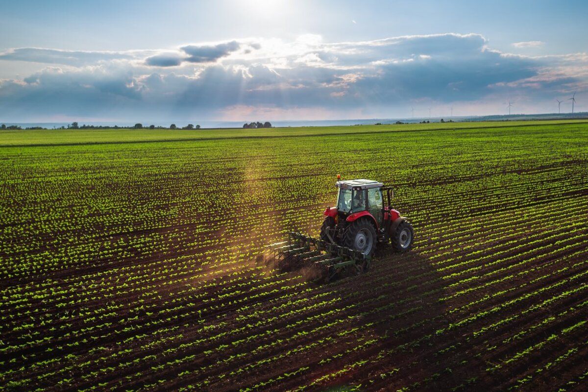 Teren agricol