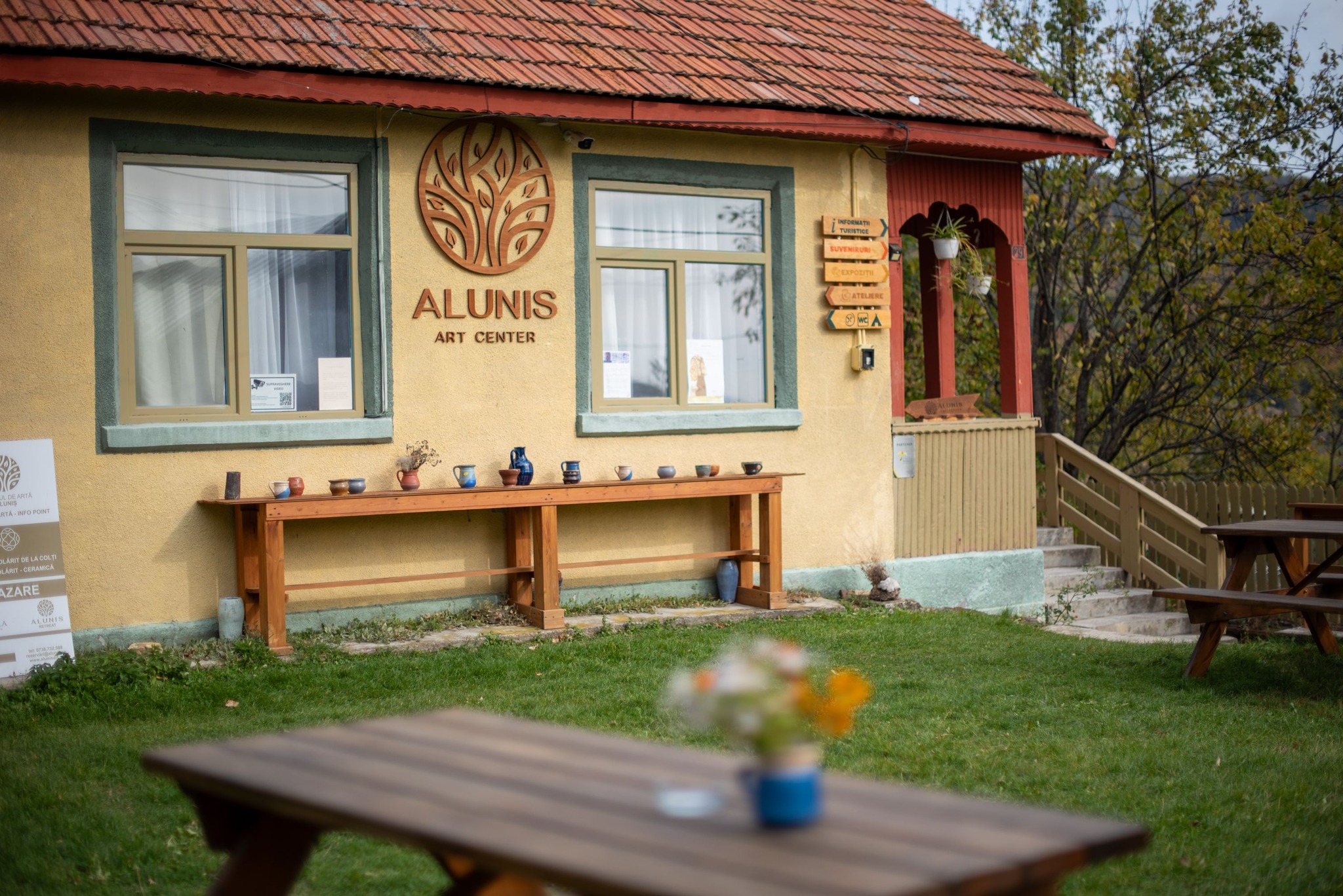 Poza Alunis ART