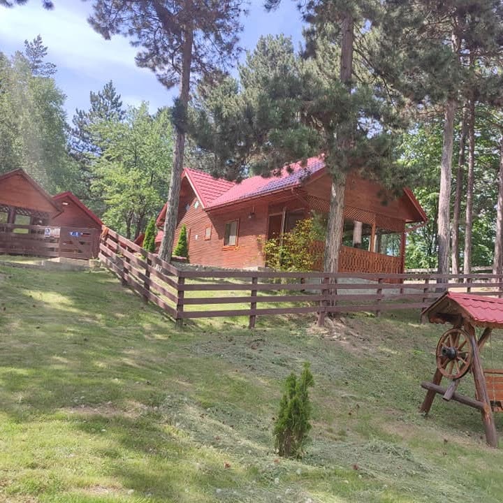 CABANA DINTRE PINI