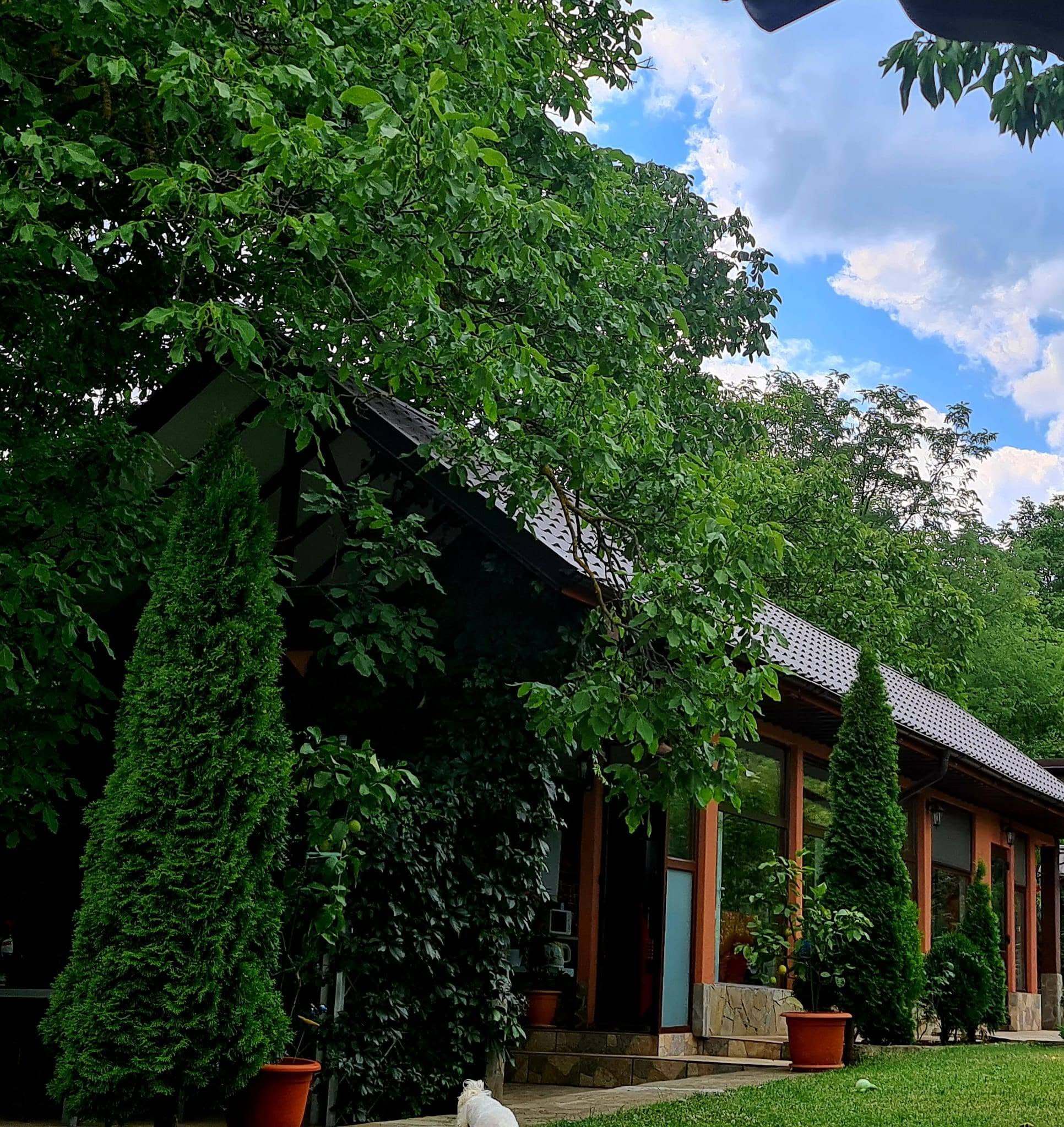 CASA ALEX