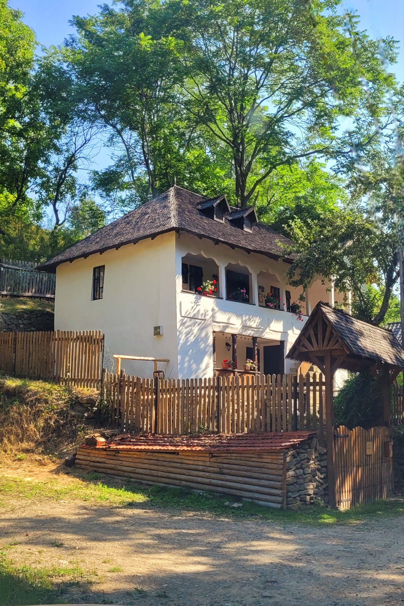 CONACUL COPILĂRIEI