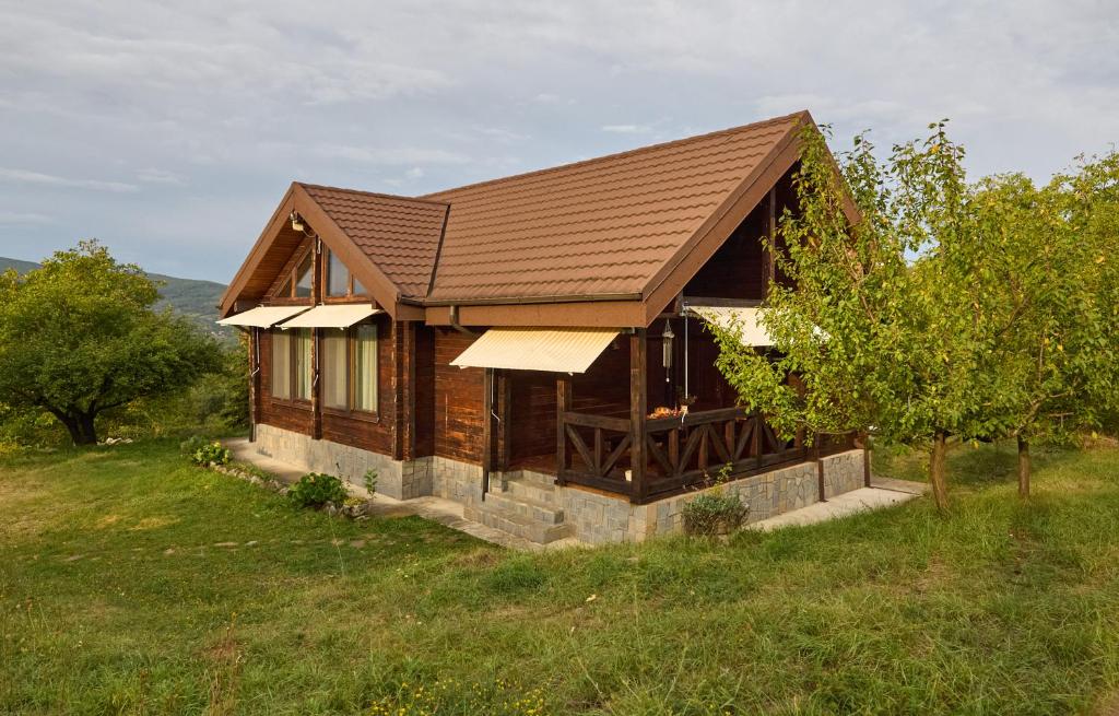 DREAM HOUSE VIPERESTI