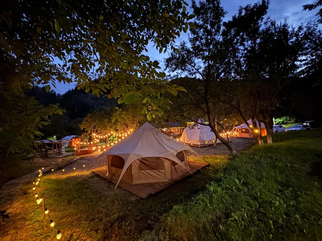 ALUNIȘ GLAMPING