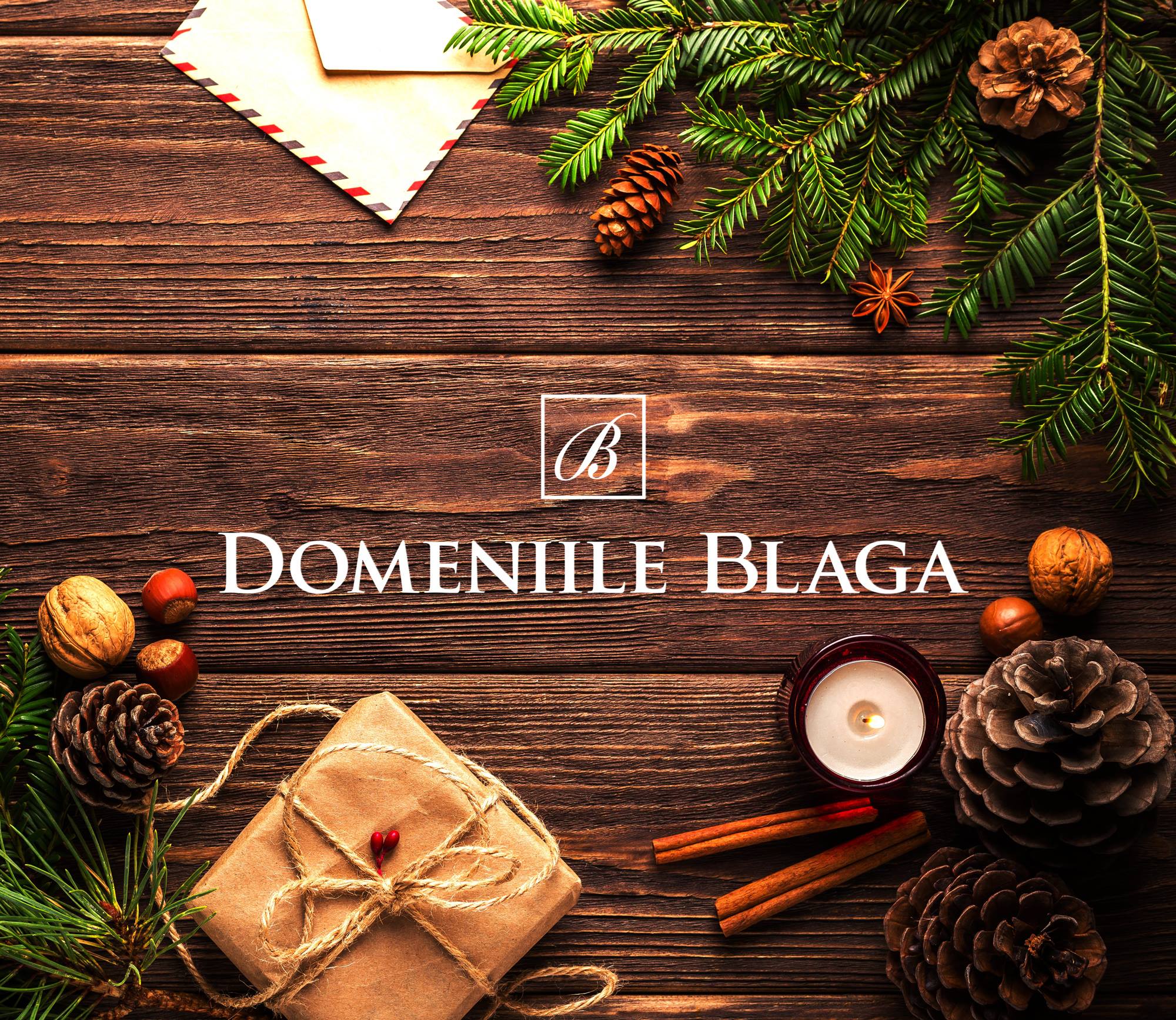 DOMENIILE BLAGA