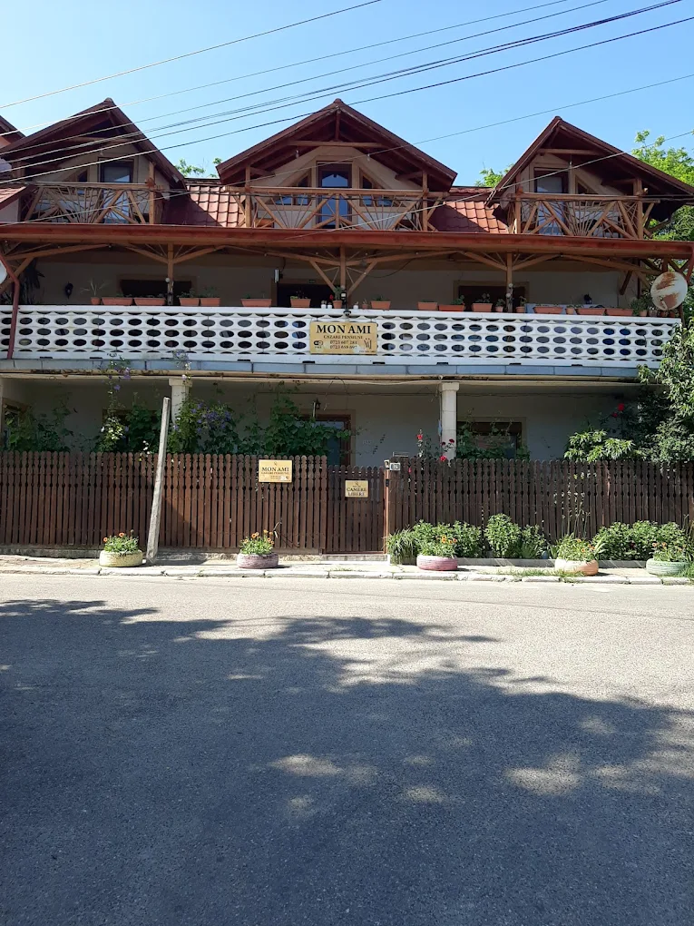 PENSIUNEA MON AMI