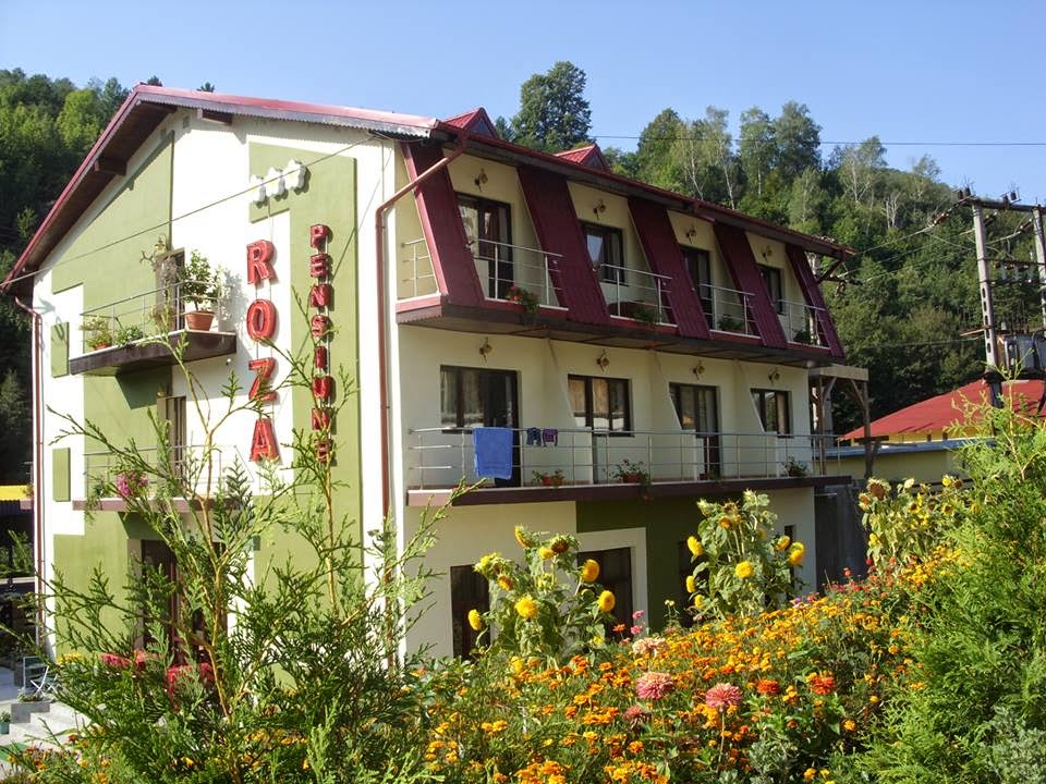 PENSIUNEA ROZA