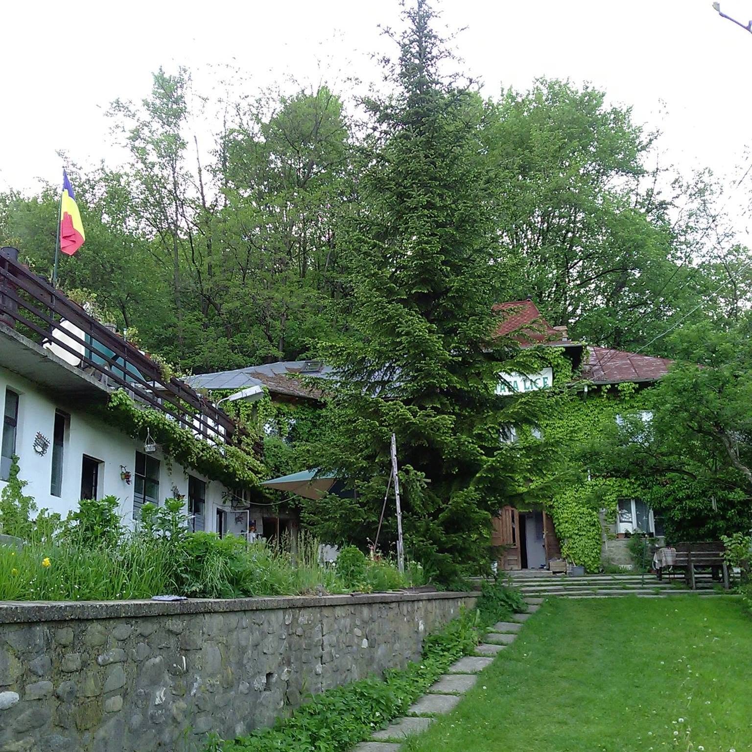 PENSIUNE TATA LICE