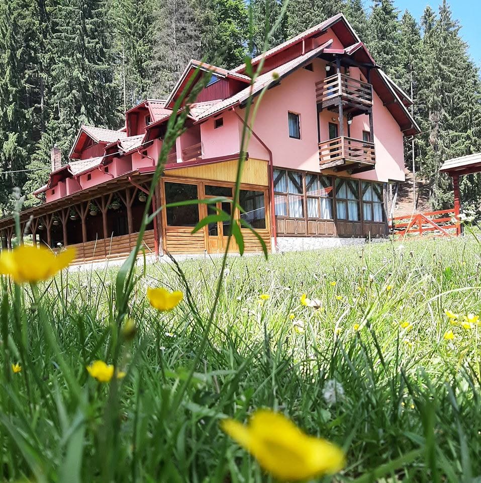PENSIUNEA VALEA NEAGRĂ