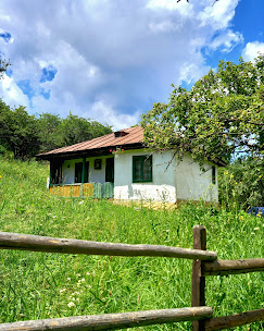 PGL. ZESTREA BISOCEANĂ