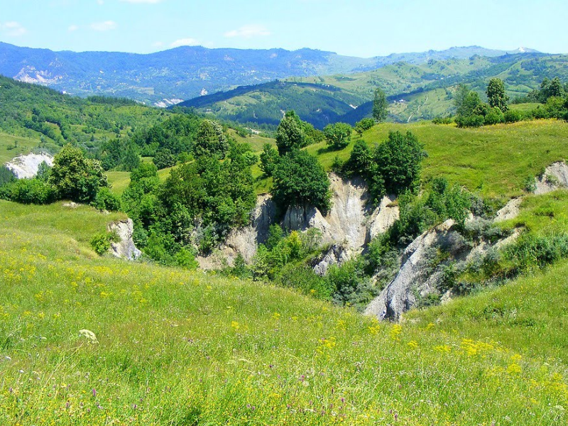Rezervație naturală