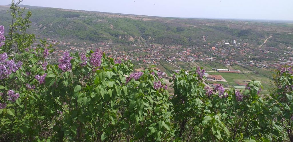 Rezervatia Dealul cu Lilieci