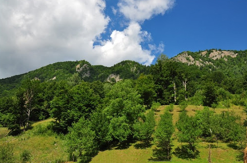 Parc aventură, rafting și drumeție